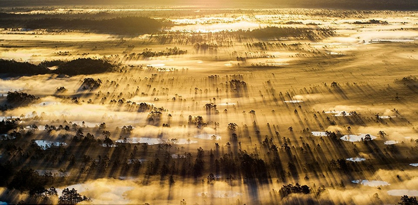 Las mejores fotografías del Concurso de National Geographic de 2015f