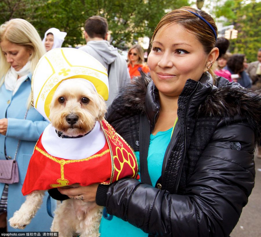 Desfile de los perros en el Día de Halloween