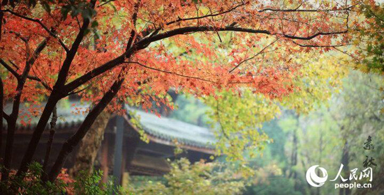 Los 10 mejores lugares para ver las hojas rojas del otoño en China