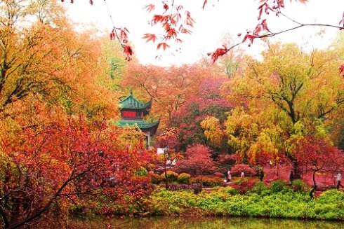 Los 10 mejores lugares para ver las hojas rojas del otoño en China