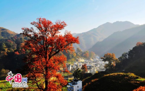 Los 10 mejores lugares para ver las hojas rojas del otoño en China