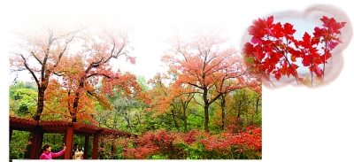 Los 10 mejores lugares para ver las hojas rojas del otoño en China