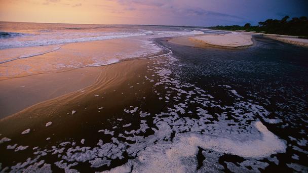 Parque nacional de Loango,el último Edén de África 1 Parque nacional de Loango,el último Edén de África 1