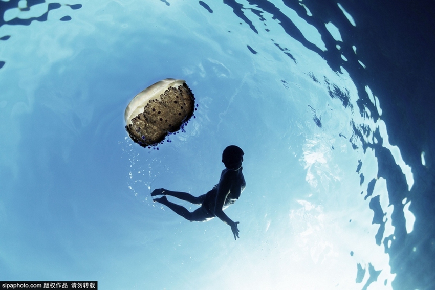 Fotos maravillosas tomadas dentro del agua