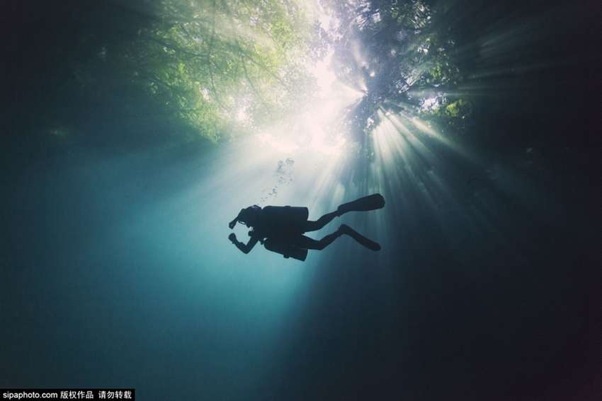 Fotos maravillosas tomadas dentro del agua