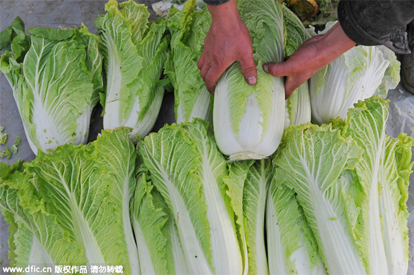 10 alimentos que alegran el invierno de Beijing6