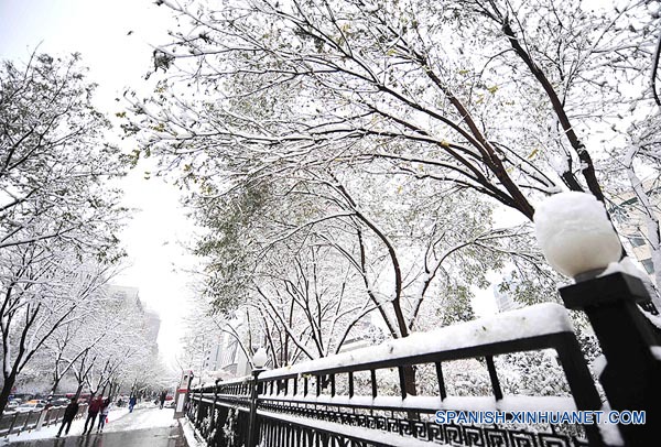 Escasa nieve caída amenaza mayor pradera de China 