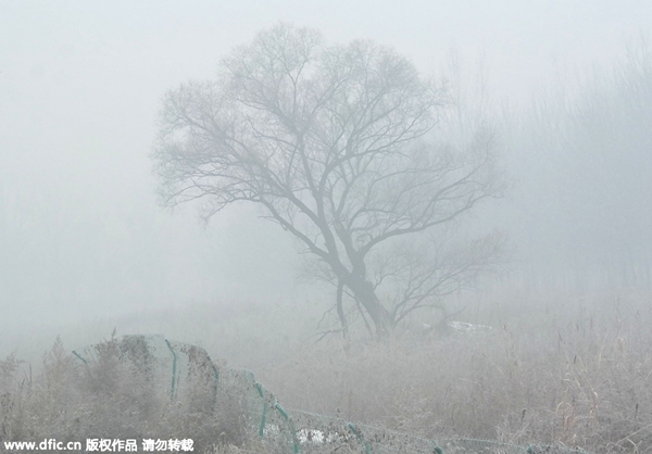 Beijing ordena detener la producción debido a grave contaminación5