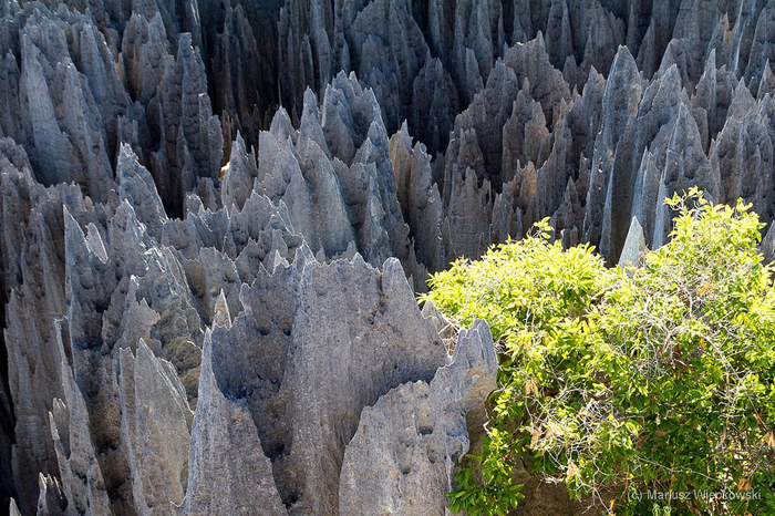 La belleza del Parque Nacional Tsingy de Bemaraha 3