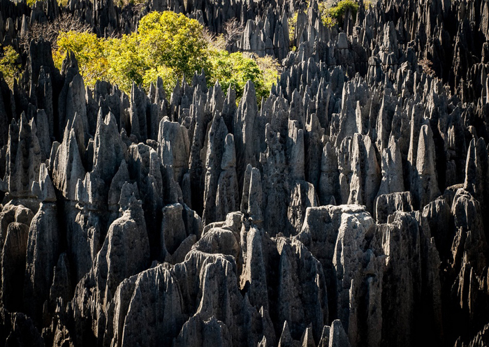 La belleza del Parque Nacional Tsingy de Bemaraha 6