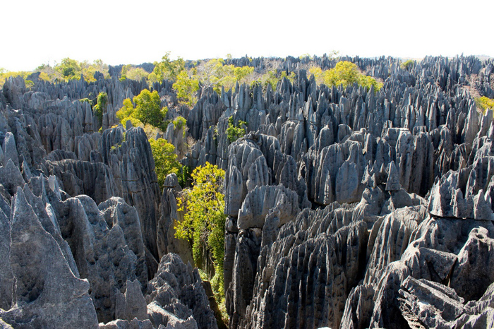 La belleza del Parque Nacional Tsingy de Bemaraha 8