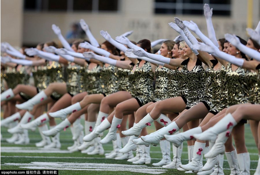 Colección de fotos de cheerleaders para juego de Rugby en EEUU