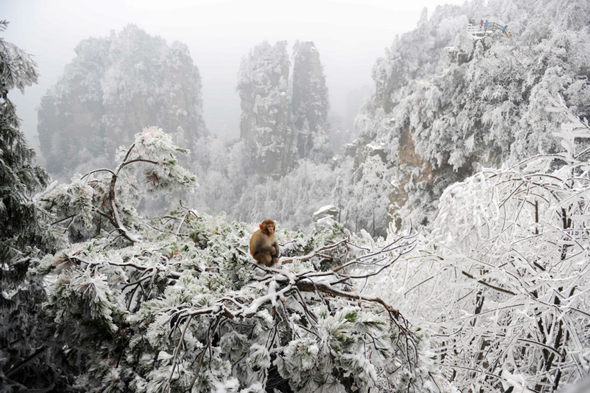 Hermosos momentos de la naturaleza en China en 2015b