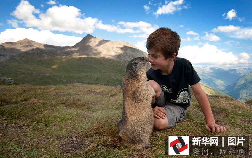 Los seres humanos y animales somos amigos3