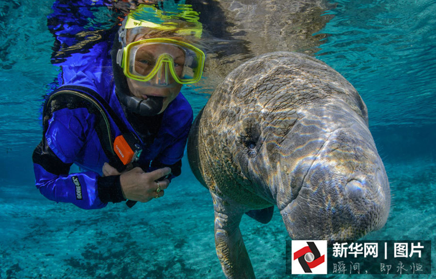 Los seres humanos y animales somos amigos5