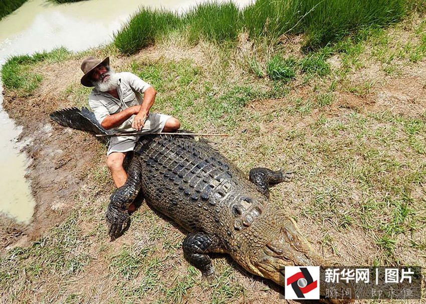 Los seres humanos y animales somos amigos7