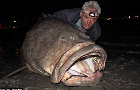 &apos;Monstruos gigantes&apos; en el agua2