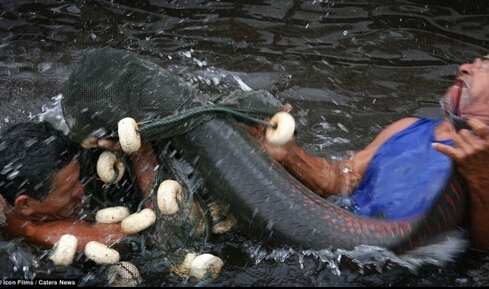 &apos;Monstruos gigantes&apos; en el agua3