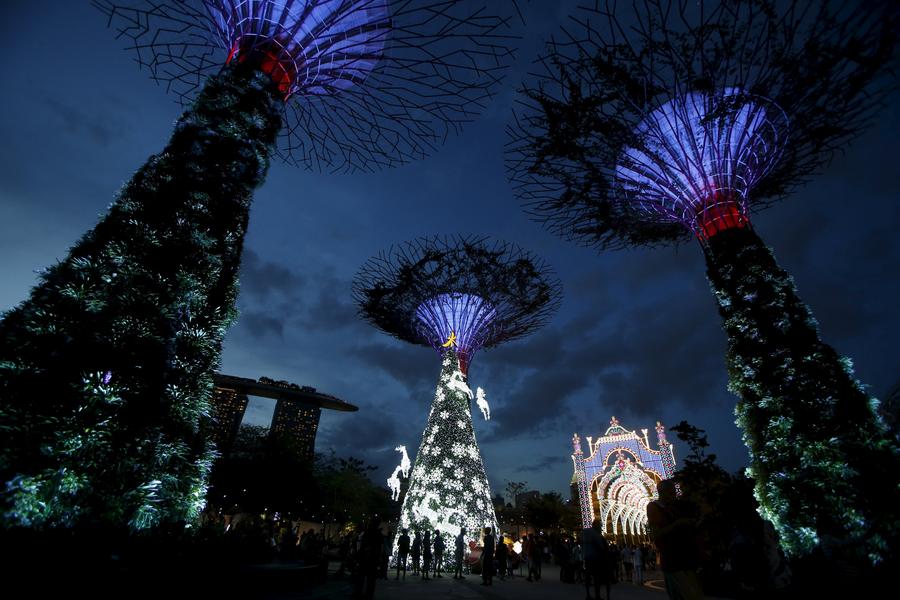 Árboles de Navidad alrededor del mundo18