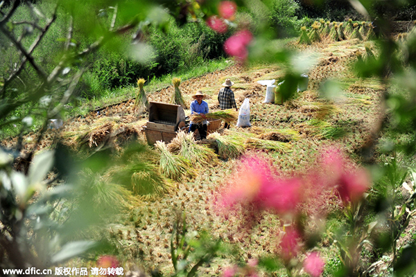 Las 10 mejores ciudades de tercer nivel en China1