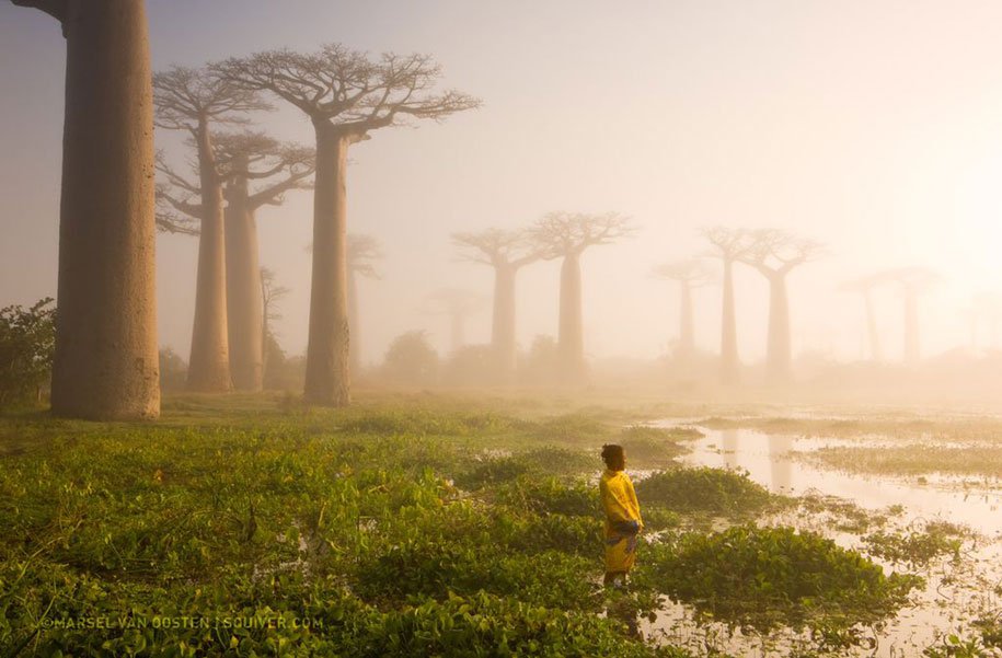 2015: Las mejores imágenes de National Geographic 9