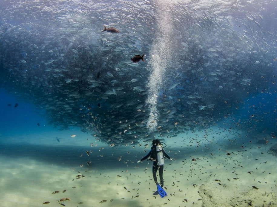 2015: Las mejores imágenes de National Geographic 15