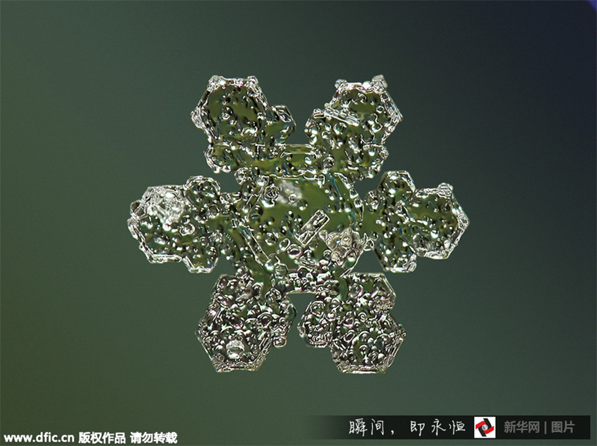 Fotos asombrosas de copos de nieve bajo el microscopio1
