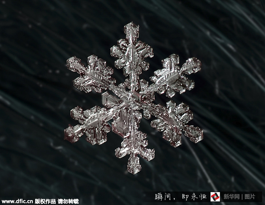 Fotos asombrosas de copos de nieve bajo el microscopio3