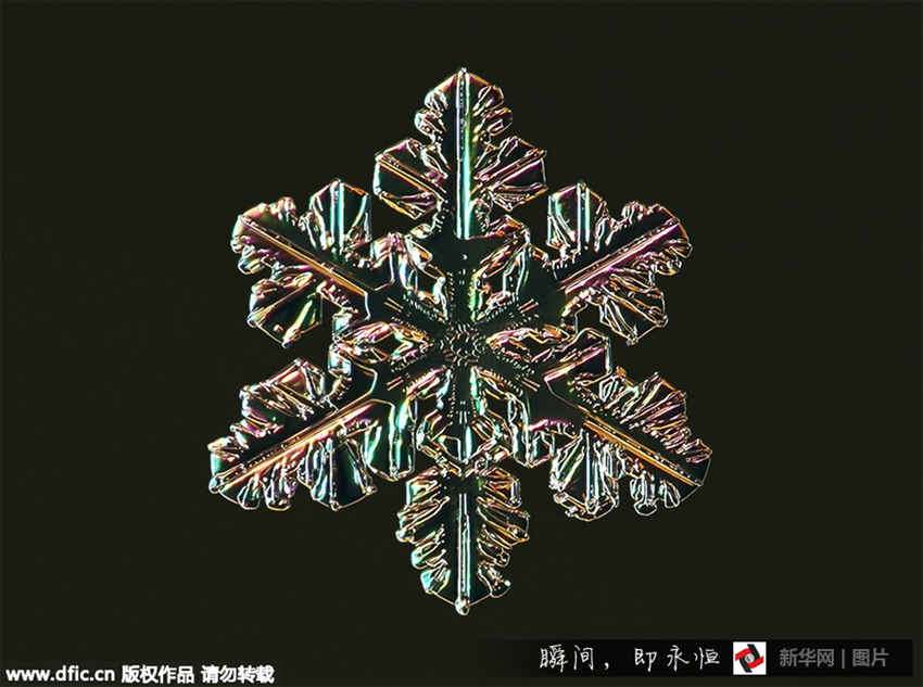 Fotos asombrosas de copos de nieve bajo el microscopio4