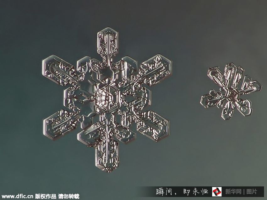 Fotos asombrosas de copos de nieve bajo el microscopio6