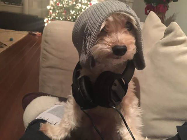 Chistosos disfraces de mascota5