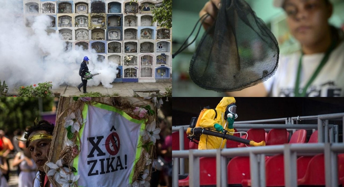 Am Rica Latina En Guerra Contra El Zika Spanish China Org Cn