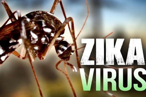 El zika declarado emergencia global por la OMS