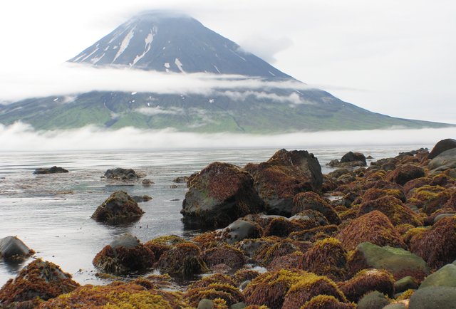 Volcán Erebus, la Antártida