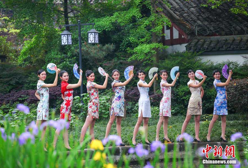 Belleza oriental: Azafatas chinas vestidas en vestdo tradicional Qipao 3