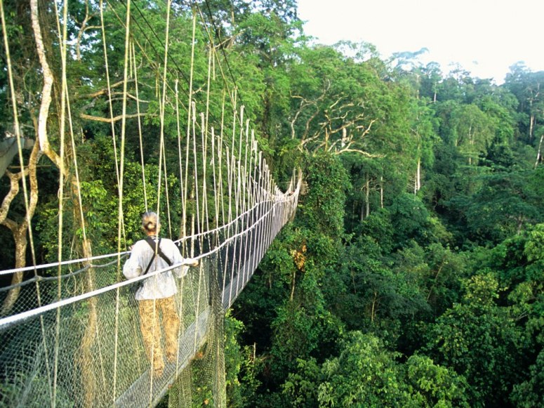 Los puentes más curiosos en el mundo 7