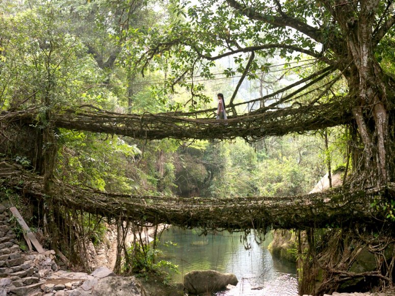 Los puentes más curiosos en el mundo 9
