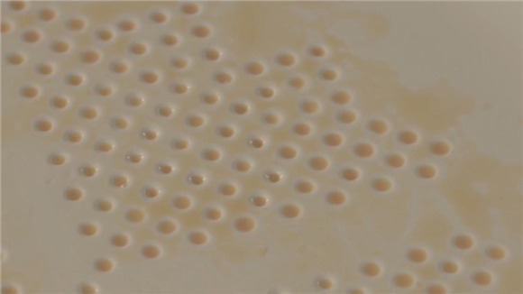 Descubre el ingenioso plato que absorbe las calor&#237;as de tu comida