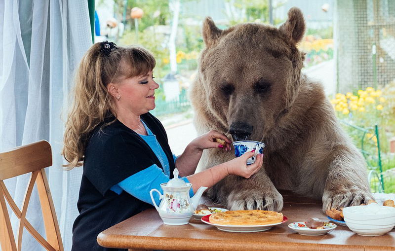 Una pareja rusa vive felizmente con un oso y lo toma como hijo7