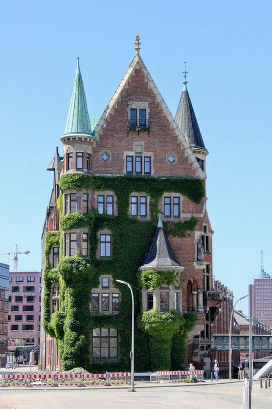 Edificios bonitos cubiertos por las plantas