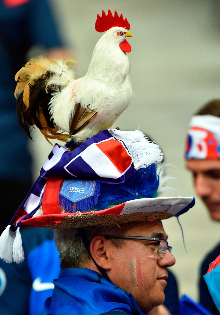 Imágenes de la inauguración de la Eurocopa en Francia6