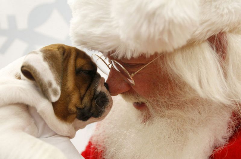 Los Papá Noel de todo el mundo