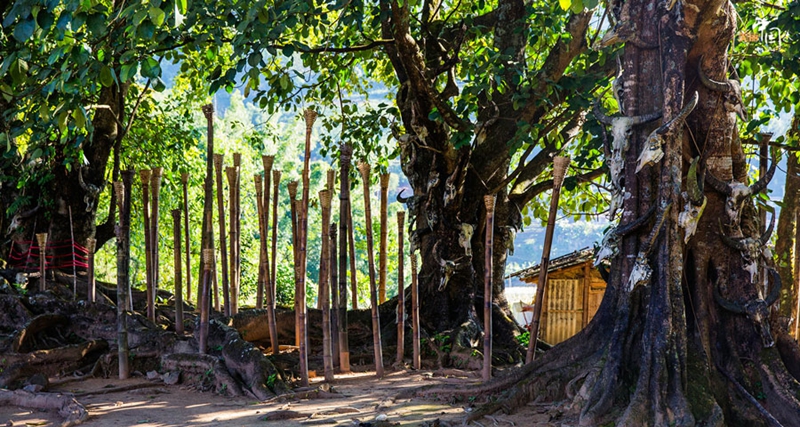 La última tribu primitiva en China