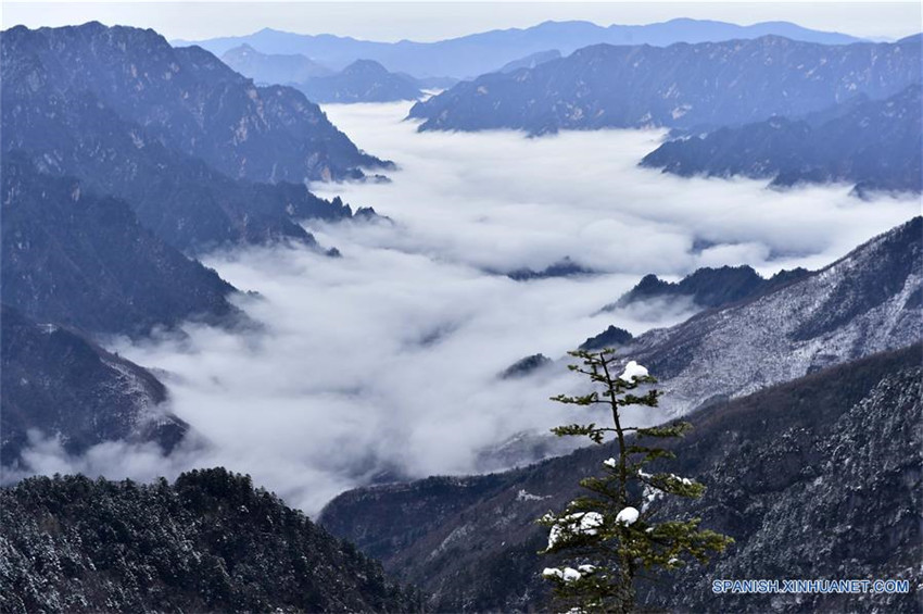 Shennongjia, de la provincia china de Hubei, declarado Patrimonio de la Humanidad 