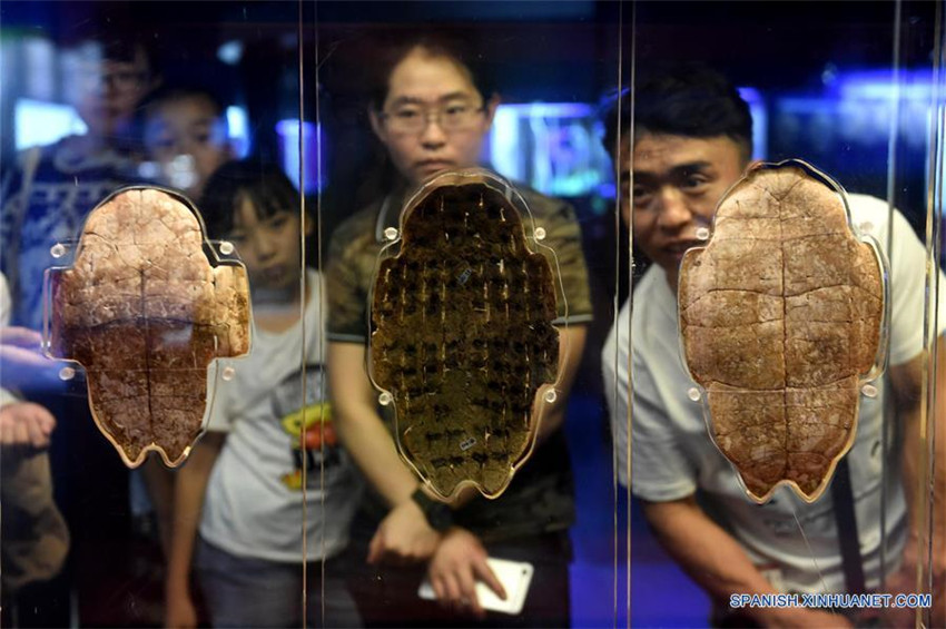 Imagen del 13 de julio de 2016 de una tableta de piedra mostrando el sitio de descubrimiento de huesos de oráculo y escritos en Yinxu, o las Ruinas de Yin, uno de los sitios arqueológicos mas antiguos de China, en Anyang, en la provincia central de Henan, en China.