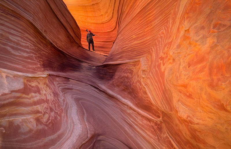 Fotógrafo registra con cámara la belleza de la naturaleza en EE.UU.8