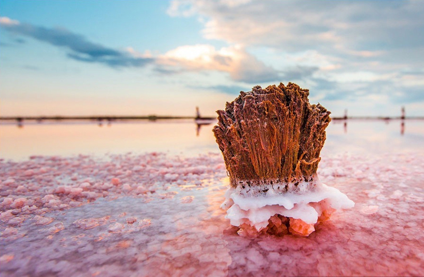 Lago salado Moinákskiy en la península Crimea en Ucrania15