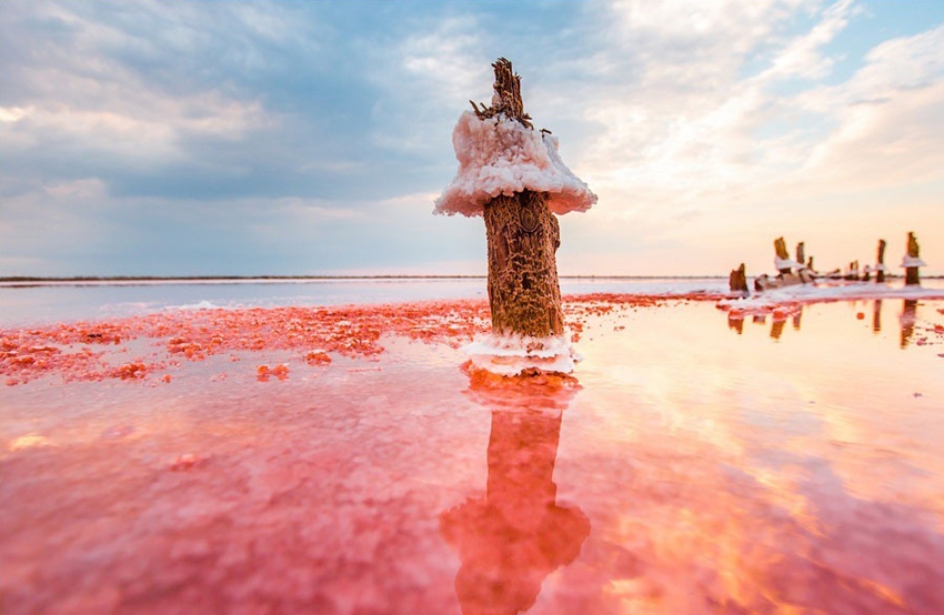 Lago salado Moinákskiy en la península Crimea en Ucrania14