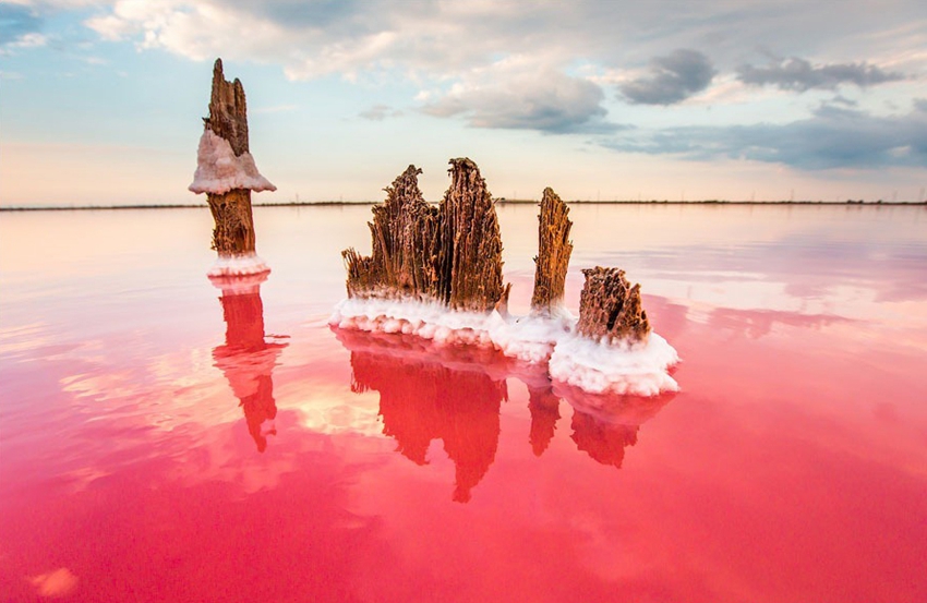 Lago salado Moinákskiy en la península Crimea en Ucrania8