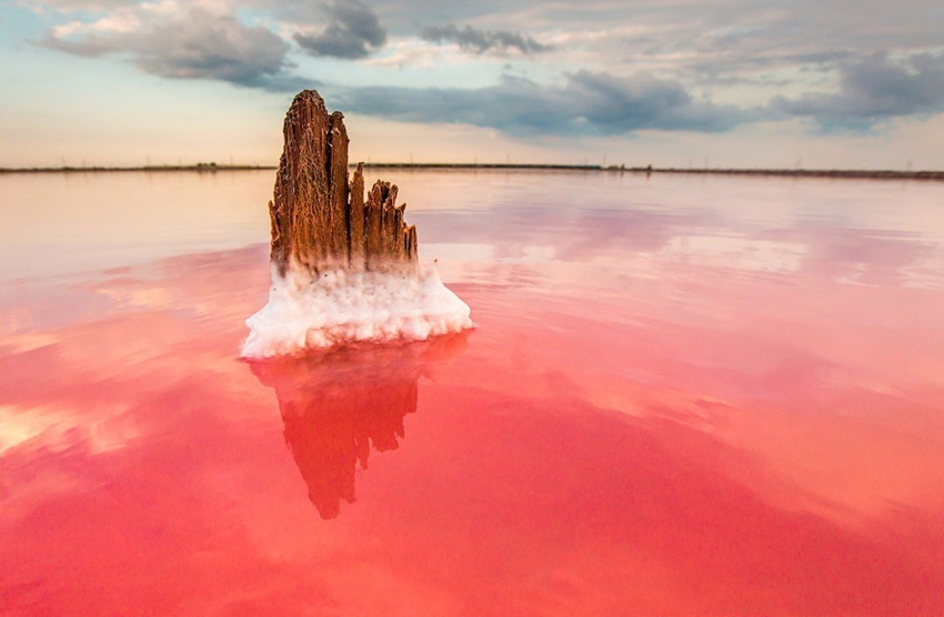 Lago salado Moinákskiy en la península Crimea en Ucrania7